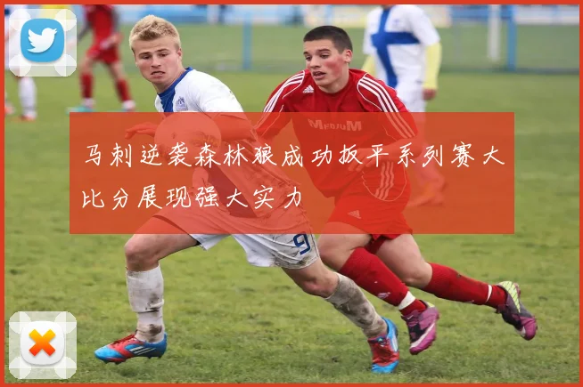 马刺逆袭森林狼成功扳平系列赛大比分展现强大实力