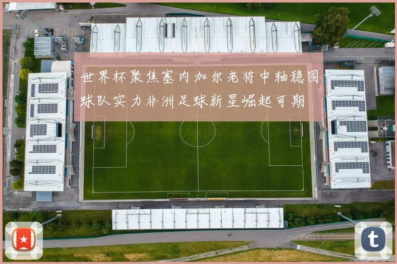 世界杯聚焦塞内加尔老将中轴稳固球队实力非洲足球新星崛起可期